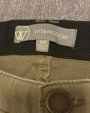 Wit & Wisdom Ab-Solution Olive Green Stretch Pants, Size 16P